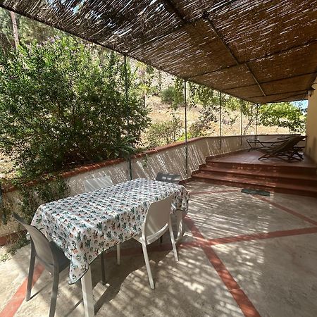 La Pineta Al Mare Διαμέρισμα Erice Εξωτερικό φωτογραφία
