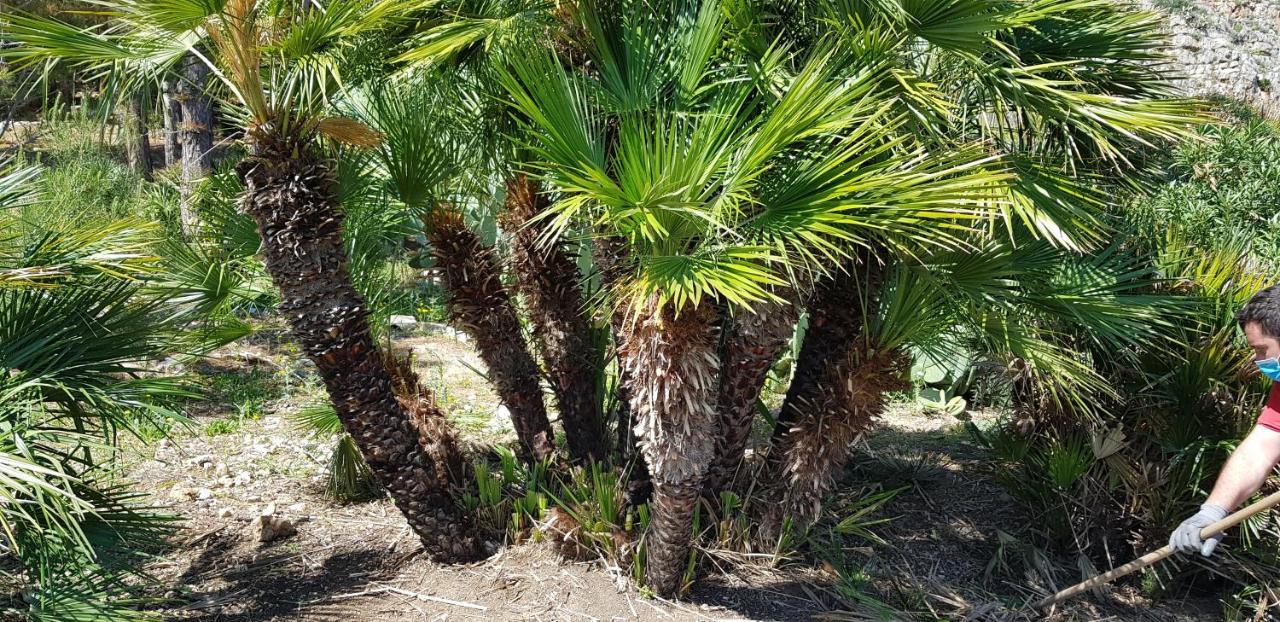 La Pineta Al Mare Διαμέρισμα Erice Εξωτερικό φωτογραφία