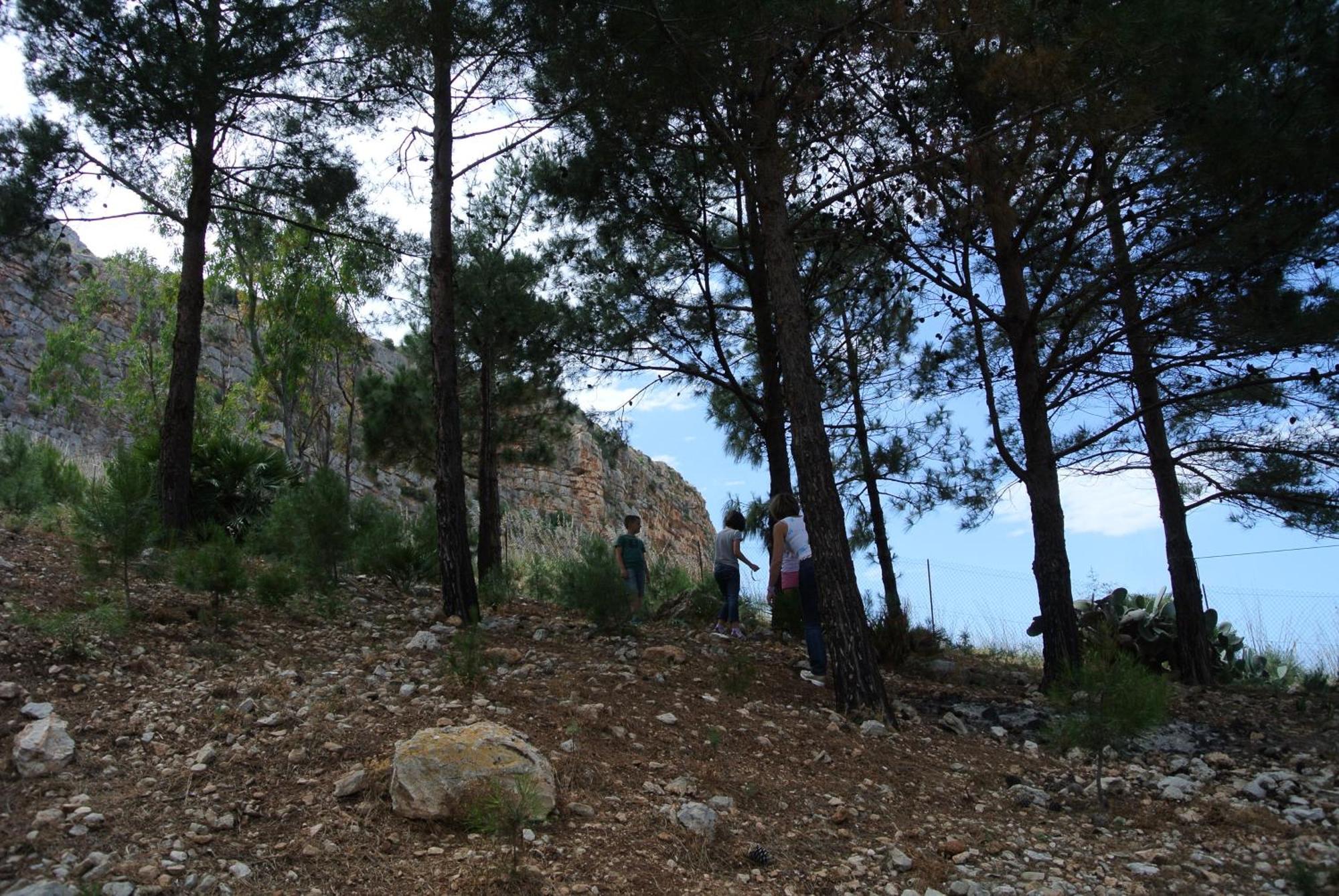 La Pineta Al Mare Διαμέρισμα Erice Εξωτερικό φωτογραφία